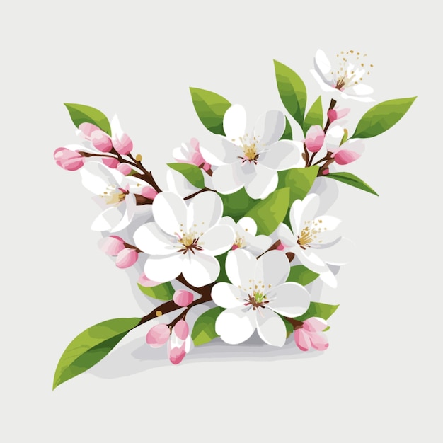 Vector spring blossoms vector