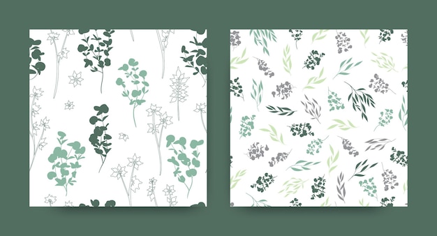 Vector spring botanical backgrounds with eucalyptus leaves