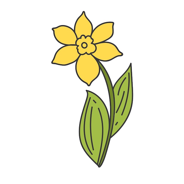 Spring botanical illustration icon doodle yellow daffodils with green leaves flower narcissist flat jonquil