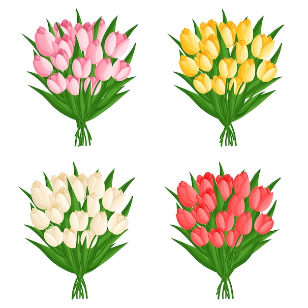 Spring bouquets set with tulips Floral plants with bright flowers Botanical vector illustration