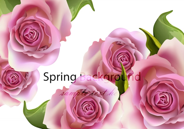 Spring card roses background realistic vector illustration