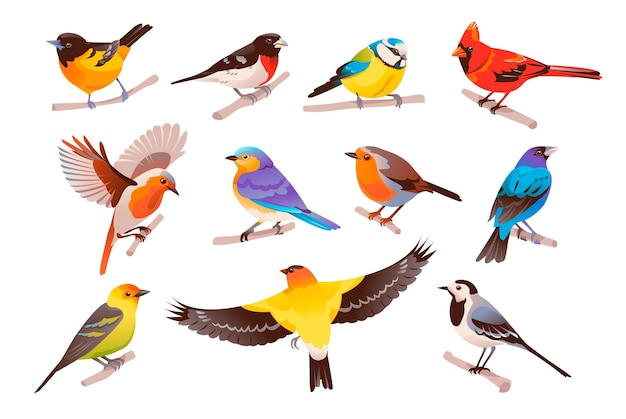 Vector spring colorful birds set little birds sit on a branch vector illustration