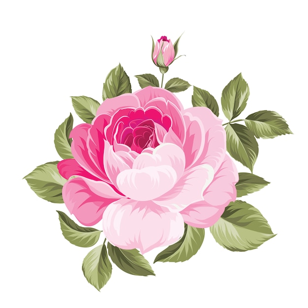 Un mazzo decorativo di primavera di fiori di rose.