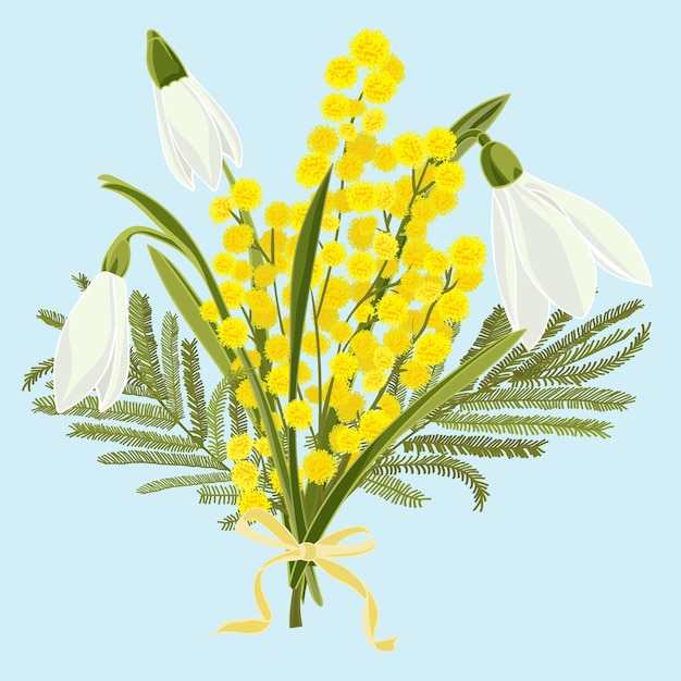 Spring floral background with beautiful snowdrops and mimosa flower