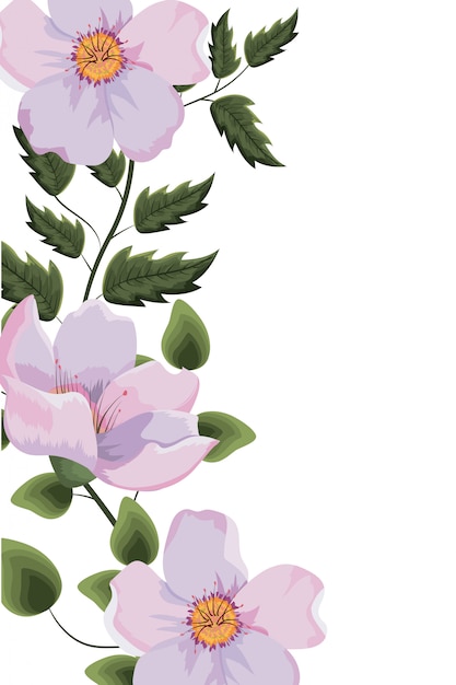 Vector spring floral frame