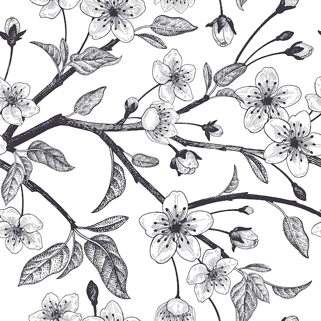 Spring  floral vintage seamless pattern with japanese cherry vector illustration