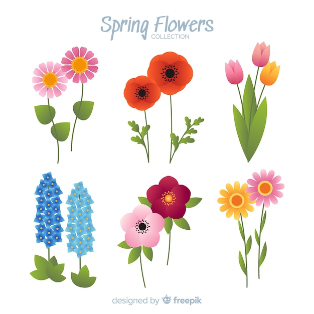 Vector spring flower collection