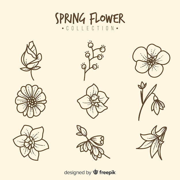 Vector spring flower collection