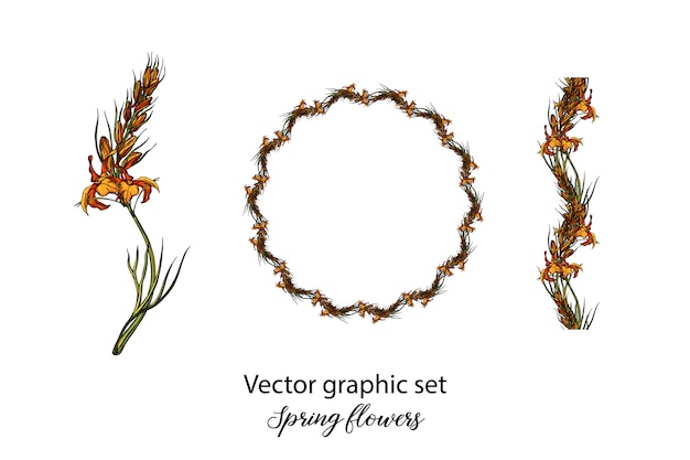 Vector spring flower illustration