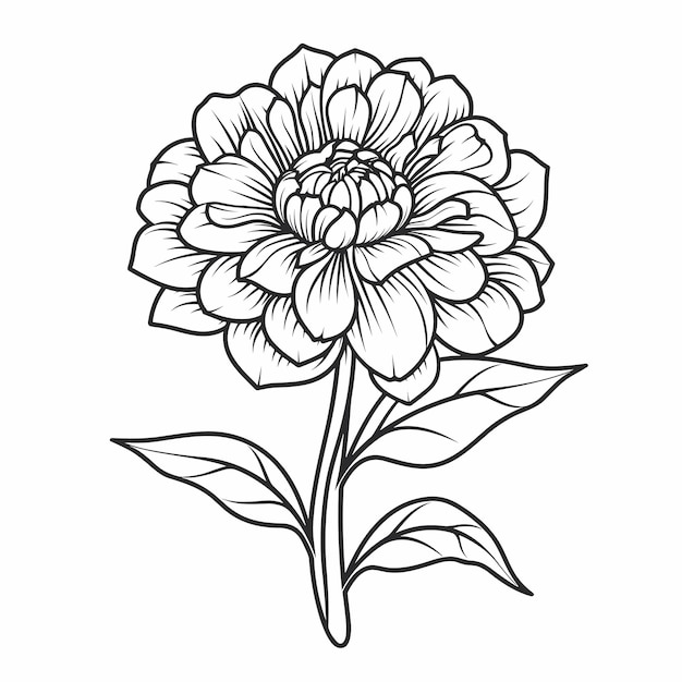 Вектор Весенний цветок изолированная раскраска для детей печатная цветочная черно-белая