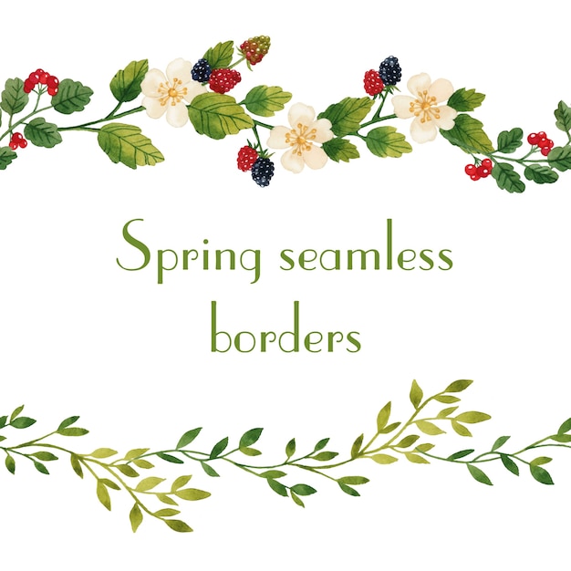 Vector spring flower seamless borders watercolor isolated