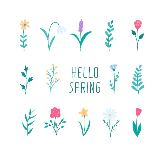 벡터 봄 꽃과 꽃 디자인 요소는 트렌디한 미니멀리즘 손으로 그린 스타일을 설정합니다.