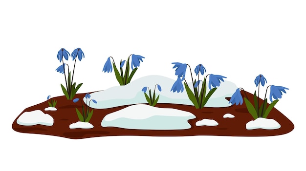 Spring flowers blue snowdrops grow from under the melting snow The first plants after winter