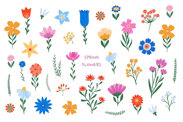 スプリングフラワーコレクション - 春の花の要素を白い背景に隔離した38のセット