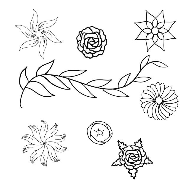 Fiori primaverili e foglie disegnate a mano set icone illustrazione vettoriale design