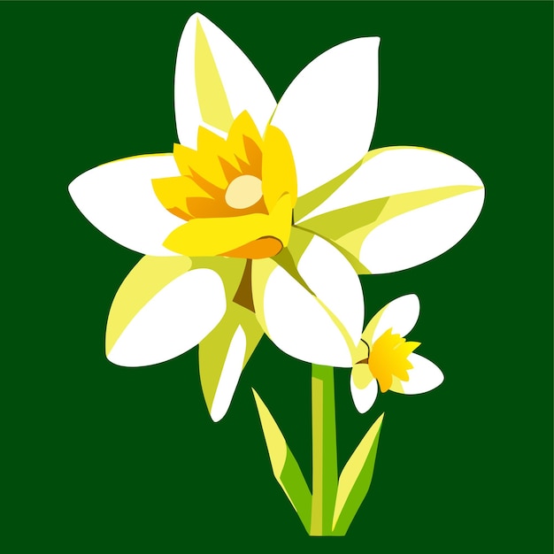Vettore fiori di primavera fiore di narciso con foglie verdi