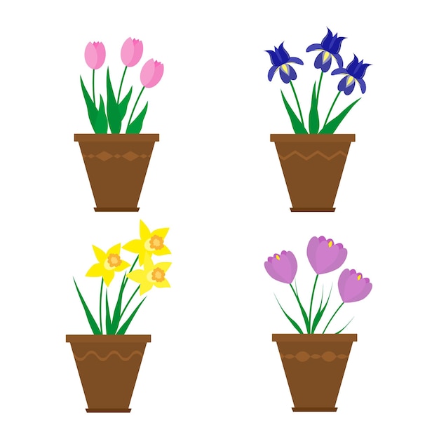 Spring flowers in pots