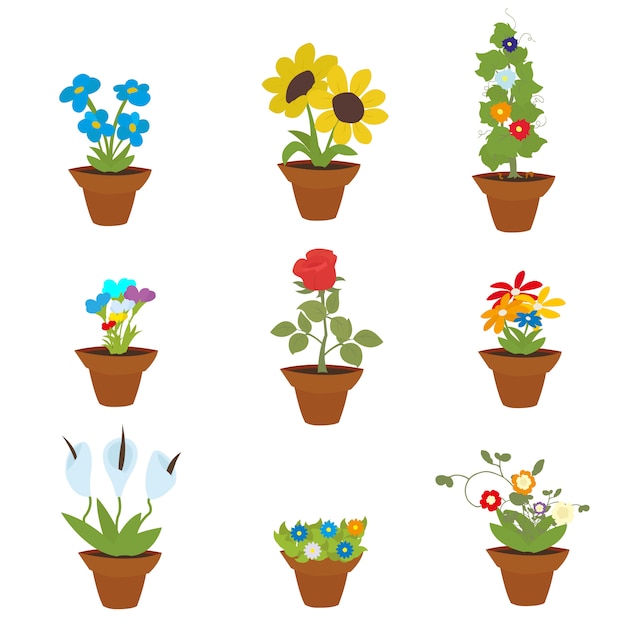 Vector spring flowers in pots