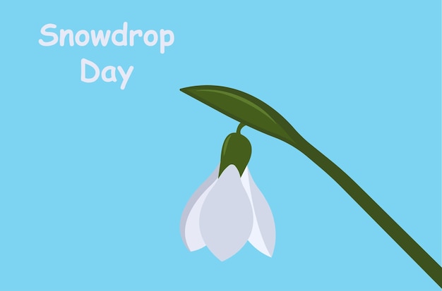 벡터 봄 꽃 snowdrops 벡터 일러스트 레이 션