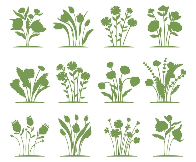 Spring forest and garden flowers vector silhouettes collections