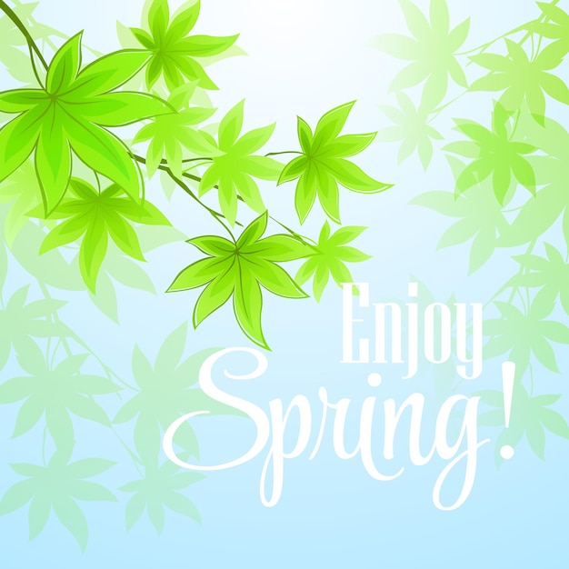 Vector spring fresh green leaves.  illustration