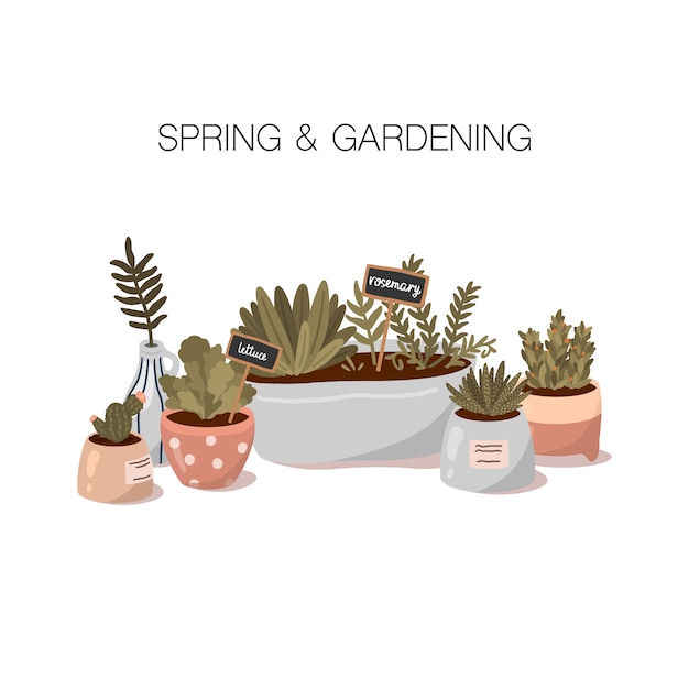 Spring and Gardening illustration in flat cartoon style. Cute potted home plants.