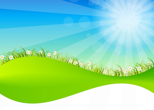 Вектор Весной зеленый фон. трава и цветок.