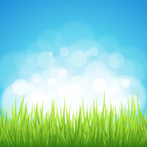 Vector spring green grass bokeh background