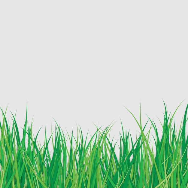 Vector spring green grass