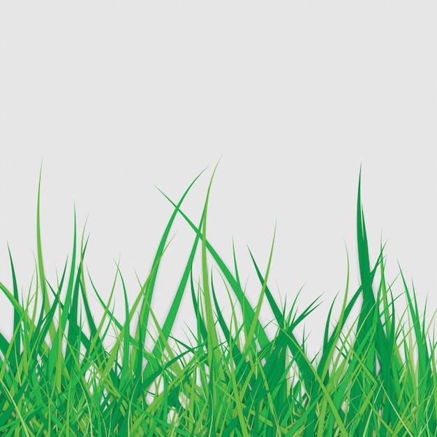Vector spring green grass