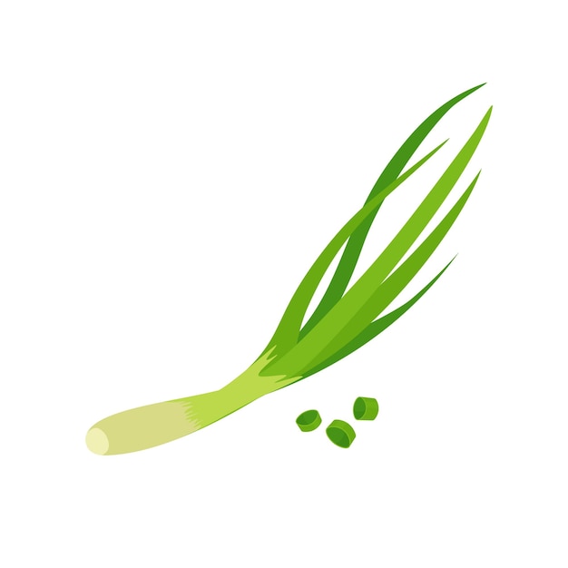 Spring green onion Chopped chives Healthy food Vector illustration in trendy flat style