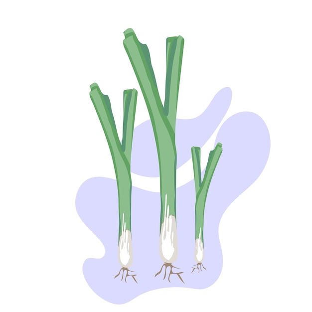 Spring green onion isolated on background Icon in cartoon style