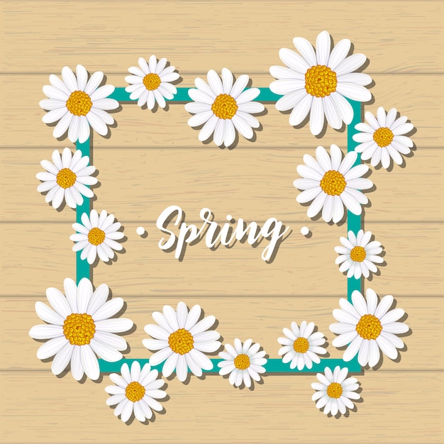 Vector spring greeting card with blooming chamomile