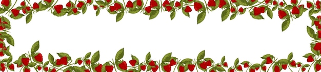 Spring horizontal border with raspberries and leaves Summer vector banner isolated white background cartoon style