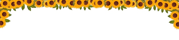 Cornice orizzontale primaverile con fiori di girasole banner vettoriale estivo