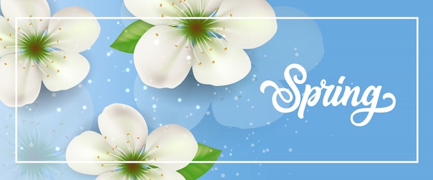 Spring lettering in frame with white blossoms on blue background with sparkles