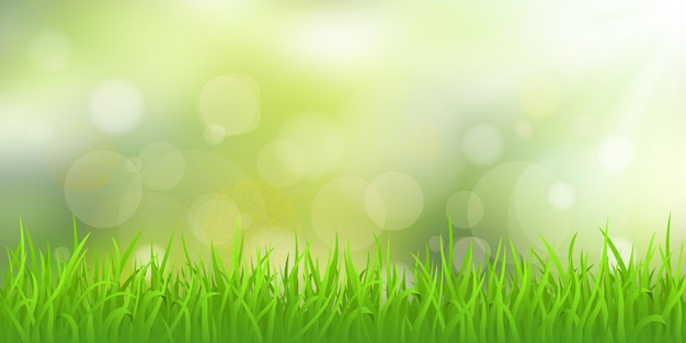 Vector spring meadow on the background of the sunny sky vector illustration