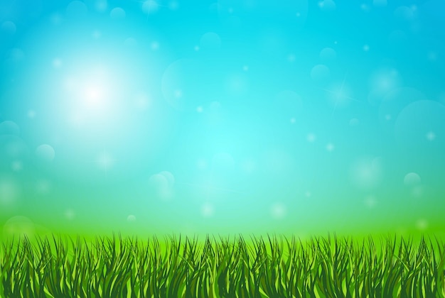 Vector spring natural background with green grass and blue sky vector illustration