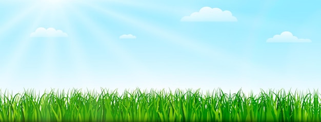 Spring nature background with green grass and blue sky. design illustration