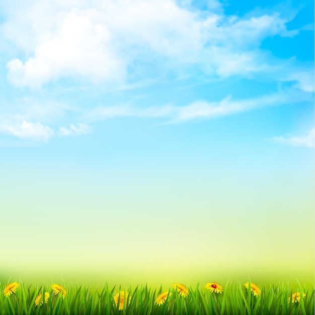 Spring Nature Background With A Green Grass And Blue Sky With Clouds Vector