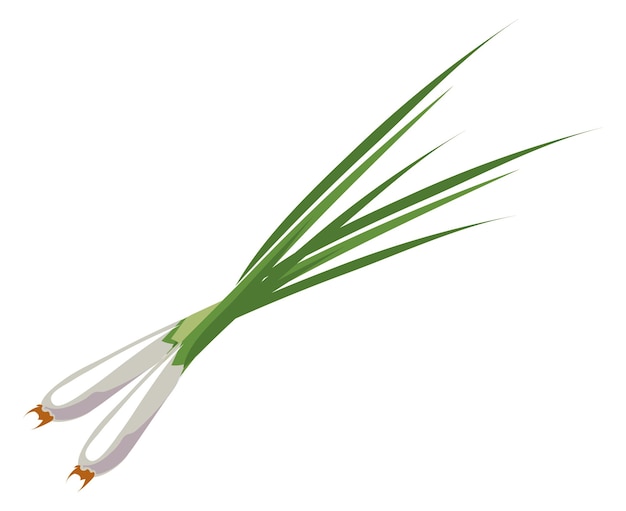 Spring onion cartoon icon Natural green vegetable