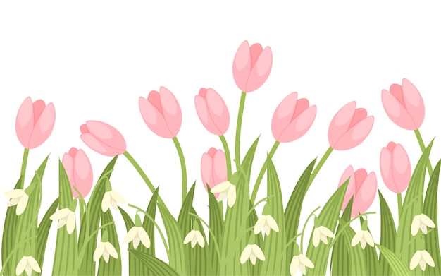 Spring pink tulip and galantus illustration