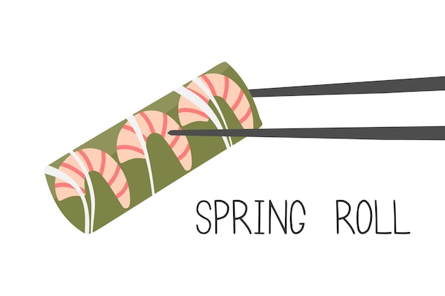 Spring roll concept design. asian food. chinese cuisine.