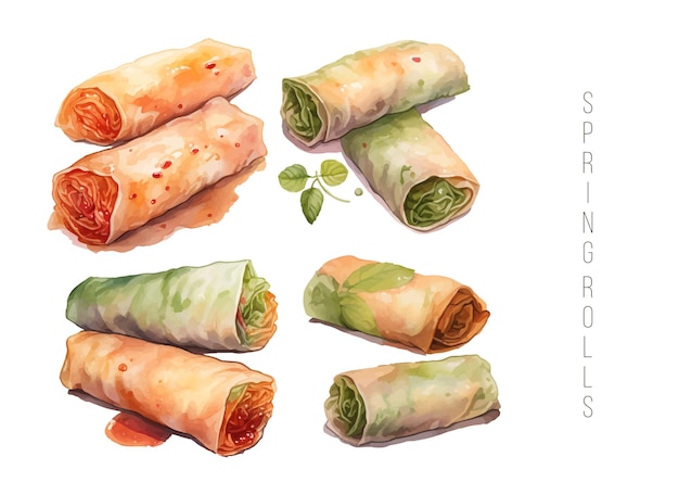 Rotolo di primavera con gamberetti erbe vegetali avocado cliparts illustrazione vettoriale