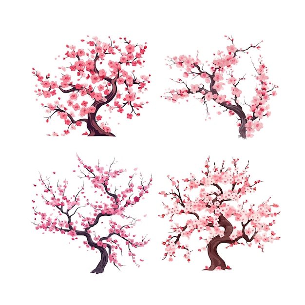 Vector spring sakura cherry blooming flowers bouquet set vector