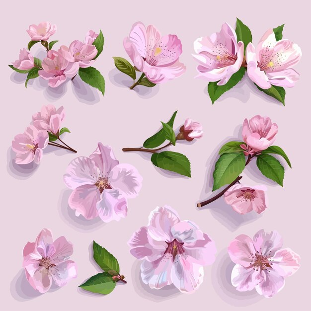 Вектор Весна - сакура - вишня - цветы - розовые лепестки