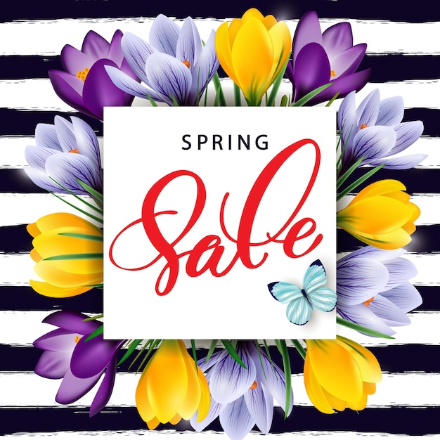 Spring sale concept. spring background with flowering crocuses.template vector.