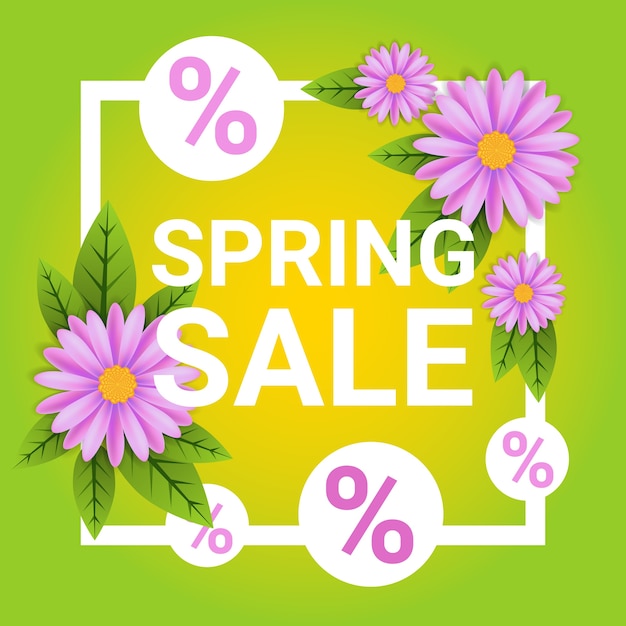 Vector spring sale discount