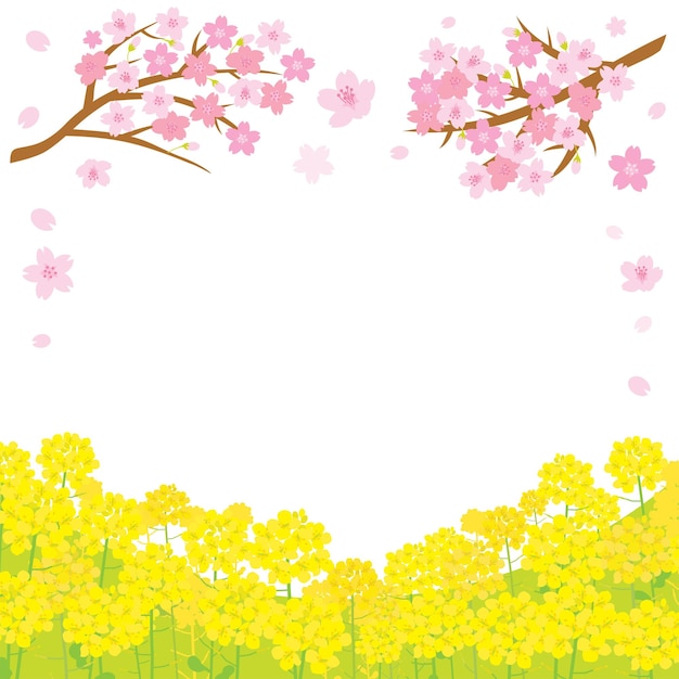 桜と菜種の花の春の風景イラスト