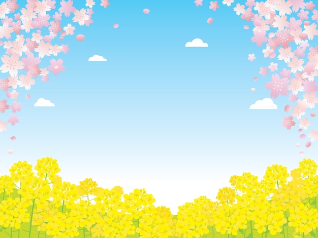 ベクトル 桜と菜種の花の春の風景イラスト